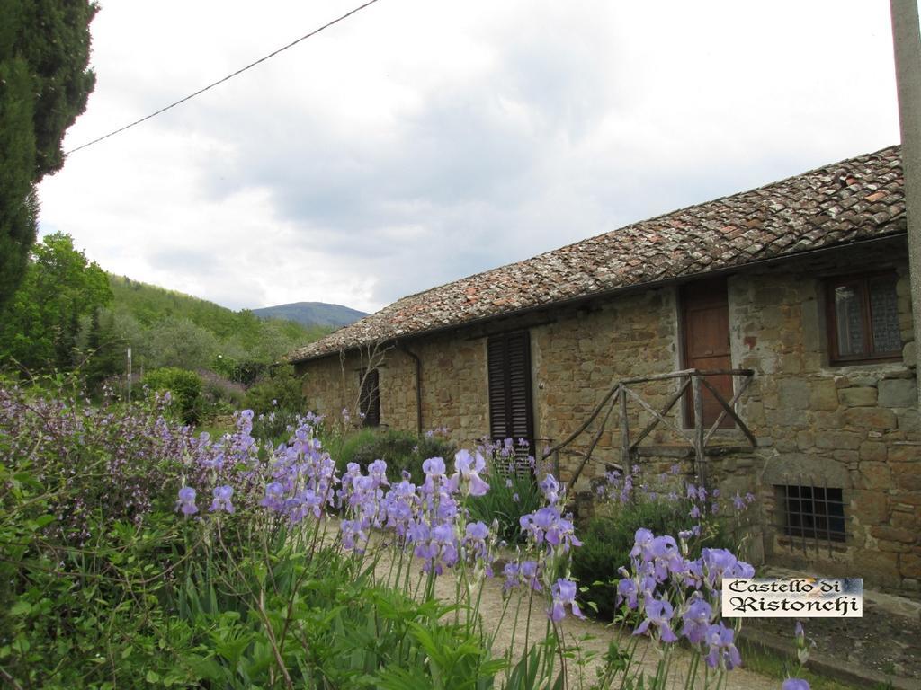 Villa Castello Di Ristonchi Pelago Exterior foto