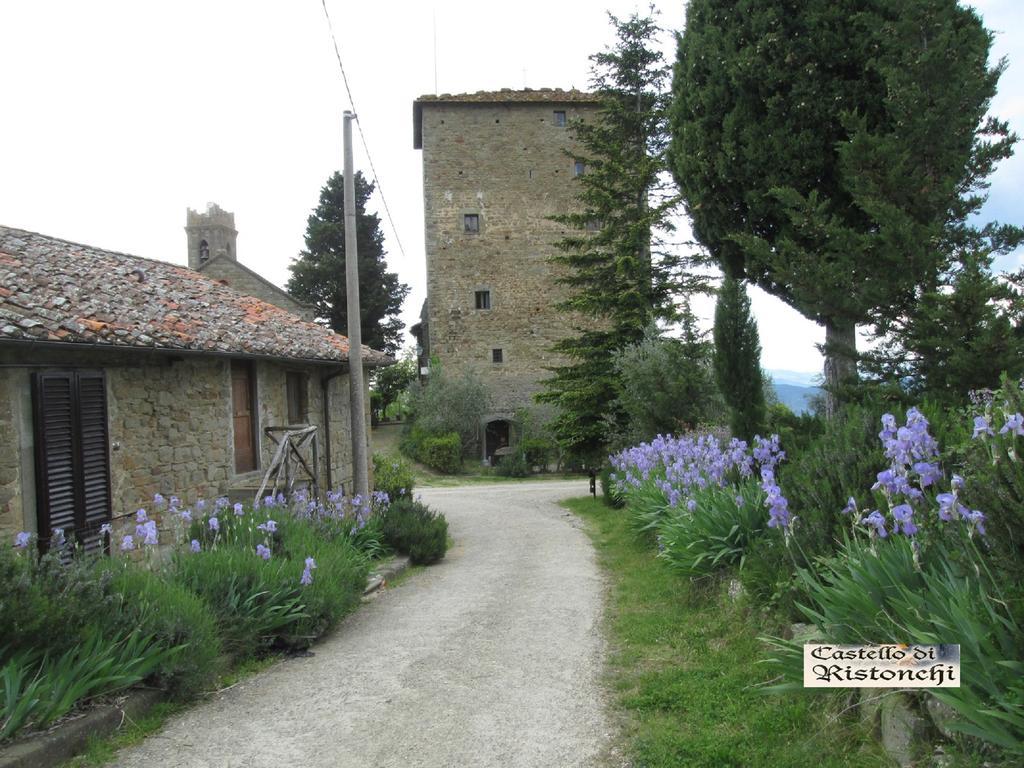 Villa Castello Di Ristonchi Pelago Exterior foto