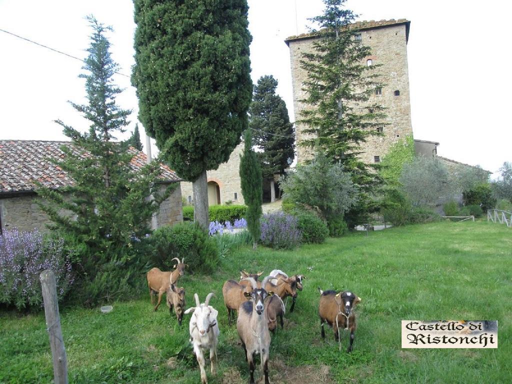 Villa Castello Di Ristonchi Pelago Exterior foto