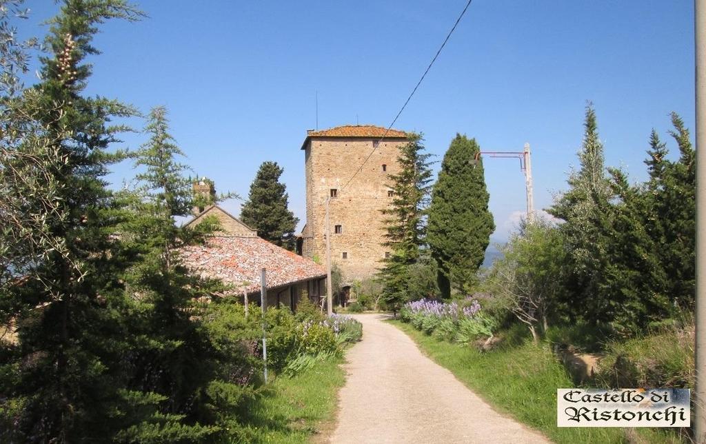 Villa Castello Di Ristonchi Pelago Exterior foto